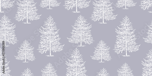 Christmas trees outlines silhouettes, frozen winter forest, seamless pattern, wallpaper, vector background, wallpaper, paper