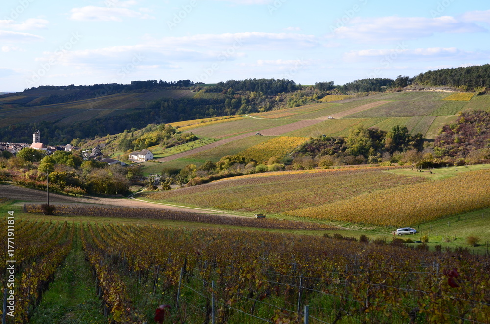 Naklejka premium VILLAGE ET VIGNOBLE D'IRANCY EN AUTOMNE BOURGOGNE