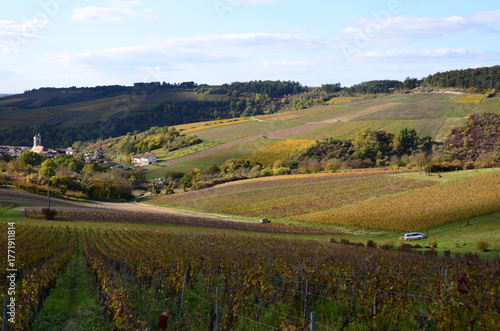 VILLAGE ET VIGNOBLE D'IRANCY EN AUTOMNE BOURGOGNE