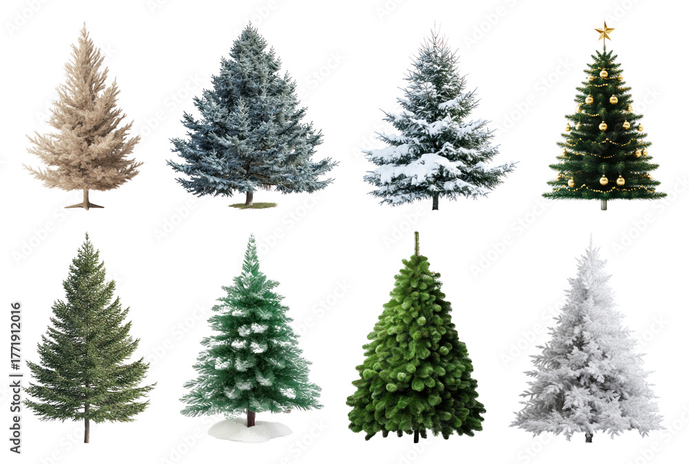 Obraz premium PNG Variety of festive Christmas trees, element set on transparent background