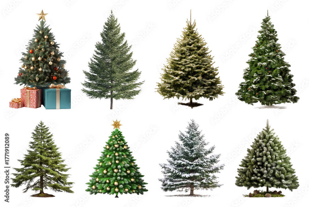 Obraz premium PNG Diverse festive Christmas trees collection, element set on transparent background