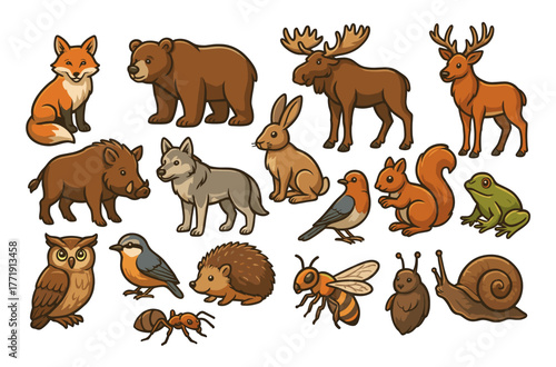Cartoon forest animals collection: fox, bear, moose, hare, deer, wolf, owl, squirrel, frog, snail