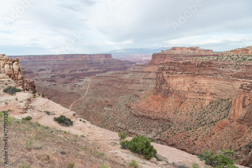 The Grand View of Canyonlands National Park, Utah, USA