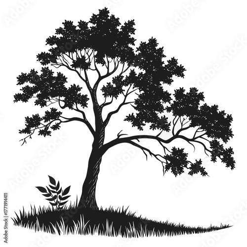 Silhouette of a tree with grass around