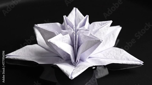 Origami lotus flower unfolding slowly on dark water surface, textured white paper.