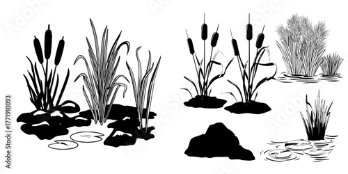 A collection of wetland nature elements features brown cattails, beige pampas grass, moss-covered rocks, green lily pads, and bright mushrooms on clay ground for designing environments