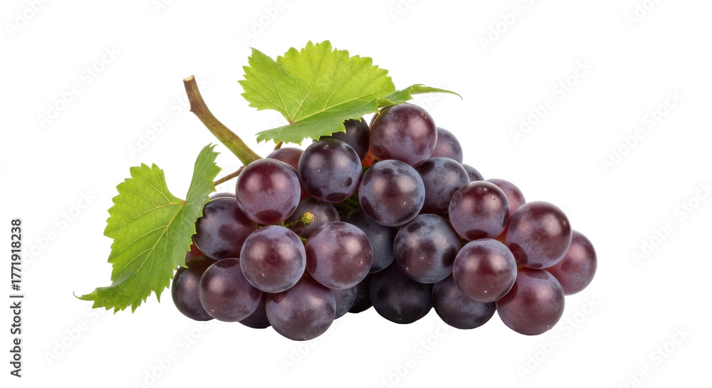 Obraz premium Close-up shot of a bunch of ripe, dark purple grapes with green leaves, isolated on white.