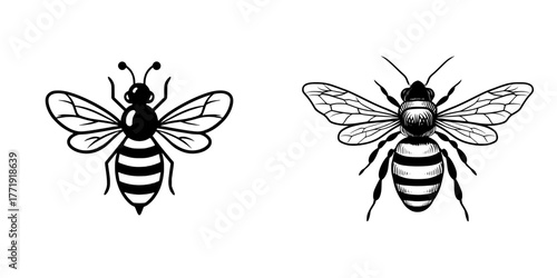 A modern illustration of a flying bee icon isolated on a white background is presented in a side view