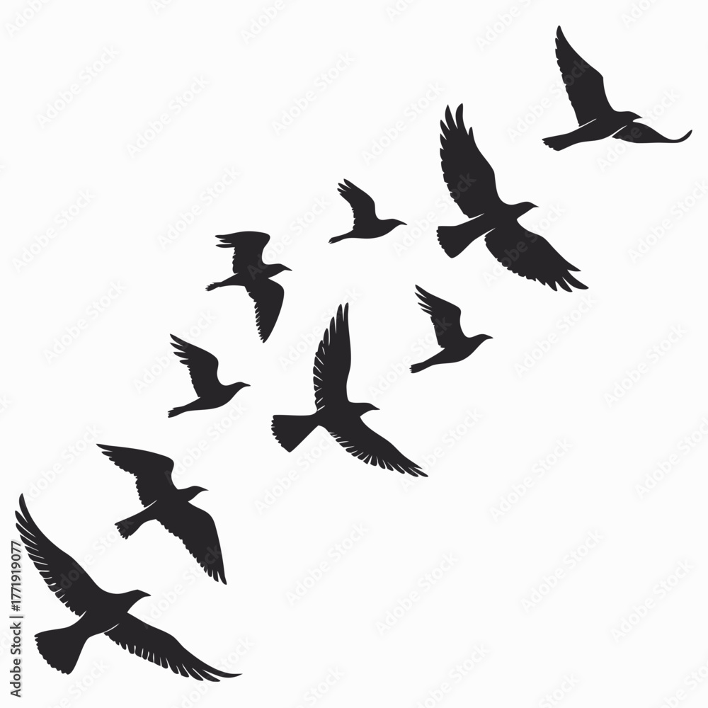 Obraz premium Silhouette of many birds flying in the sky