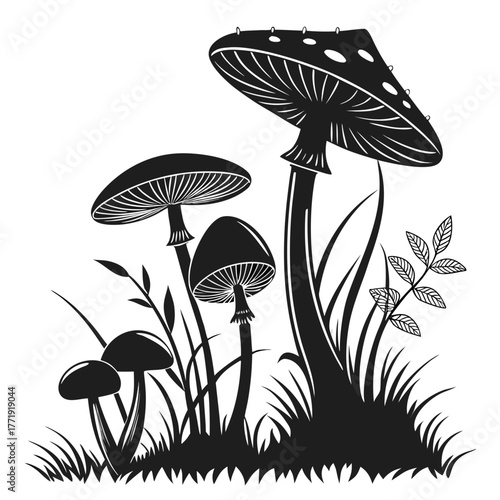 Silhouette of mushrooms