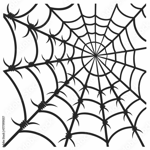 Spider web with barbed wire