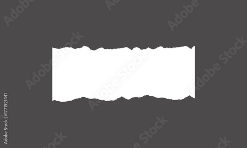Torn white paper vector design on grey background. White paper vector design.