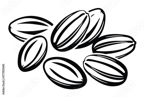 Monochrome drawing shows multiple whole coffee beans with stripes against a stark white backdrop