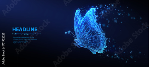 Butterfly. Abstract closeup vector butterfly insect isolated on blue background. Free dream, wildlife nature, creative fantasy fredom, idea inspiration concept. Beautiful environment, flying symbol

