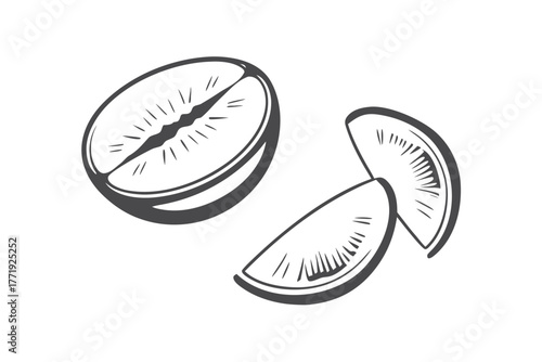 Single sketched coffee bean sits beside two split segments over a white backdrop