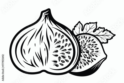 Sliced fig fruit drawing displays detailed seeds and leaf in a black and white line