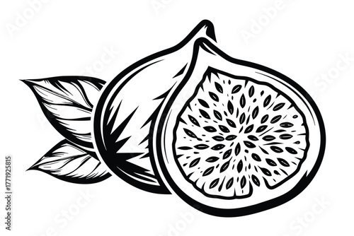 Sliced fig with leaf illustration showing edible ripe seeds inside black and white