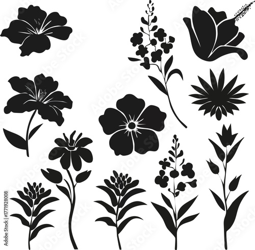 Collection of Botanical Silhouettes Featuring Delicate Floral Arrangements and Blossoming Petal Designs for Artistic Crafting and Design Projects