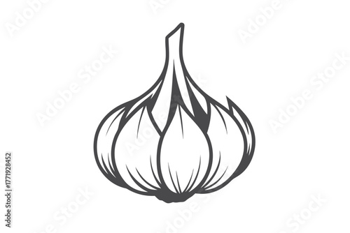 Stylized monochrome drawing shows a whole garlic bulb with textured layers and sharp details