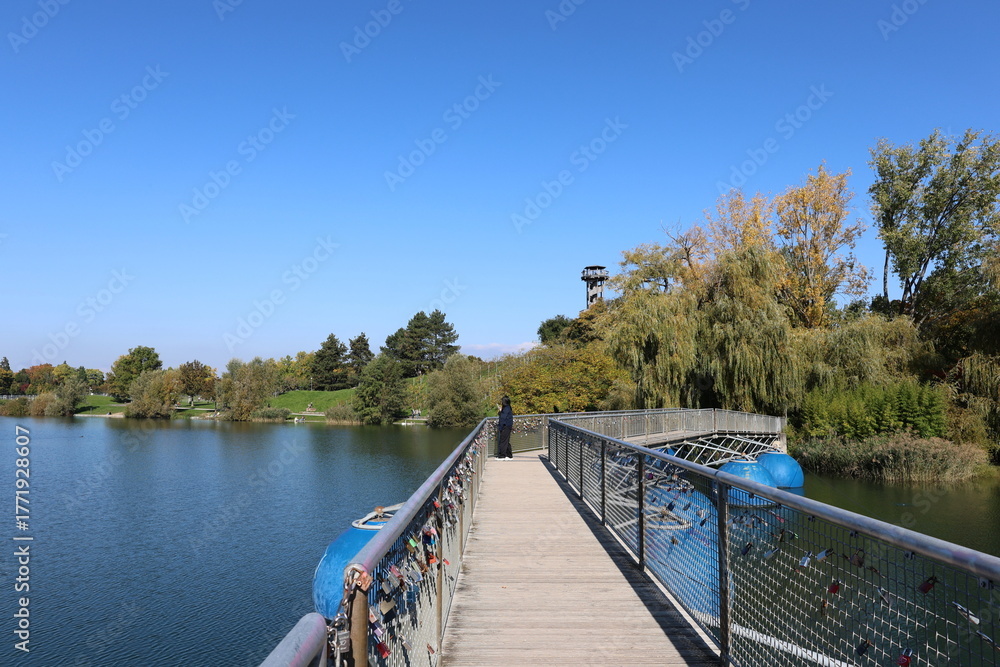 Naklejka premium Brücke über den Flückiger See in Freiburg