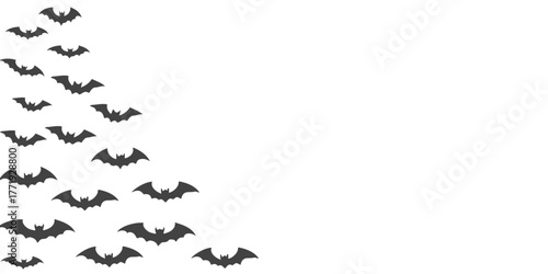 Black and white vector illustration of birds on a branch, featuring a minimal silhouette design with hints of nature and a subtle pattern