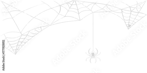 Spooky Halloween spider web vector illustration for backdrop design concept or decoration