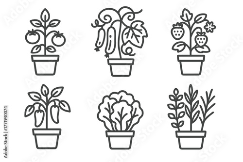 Greenhouse Plant Icons. Line style icons of greenhouse plants: potted tomato, cucumber vine, strawberry bush, pepper plant,