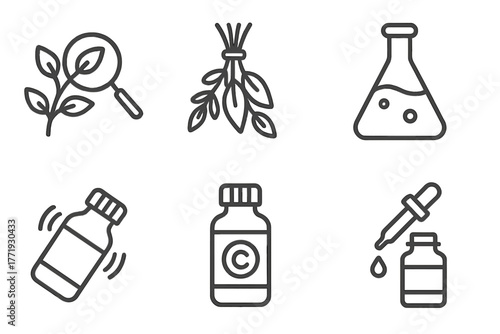 Remedy Preparation Icons. Line style icons of remedy preparation steps: ingredient selection, drying herbs, dilution flask,
