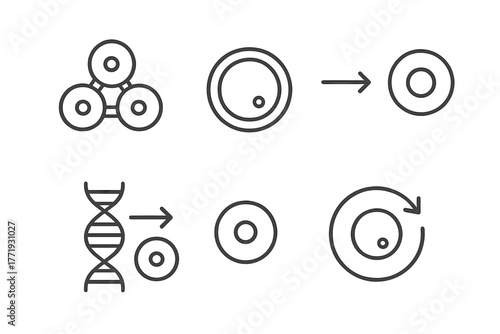 Stem Cell Icons. Line style icons of stem cell research: induced pluripotent stem cells, iPSC icon, reprogrammed cell diagram,