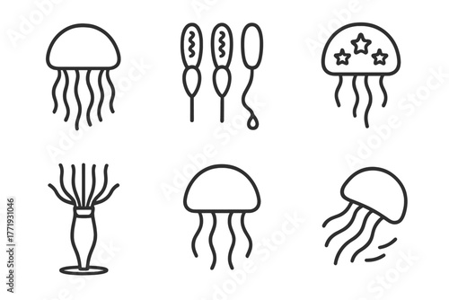 Marine Biology Icons. Line style icons of marine biology: jellyfish icon, sting cells, bioluminescent jelly, medusa stage, polyp