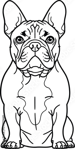 Minimalist line art drawing of a seated french bulldog isolated on white background