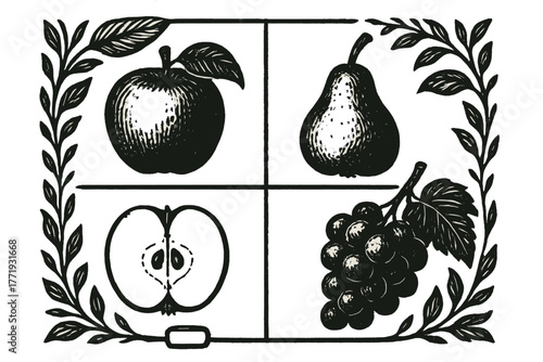 18th-Century Fruit Icons. Solid style icons of 18th-century fruit study: Scientific Illustration, Ink Outline, Latin Label Style,