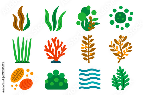 Vibrant Sea Plant Icons. Flat vector icons of deep sea plants: kelp stalk, seaweed frond, algae cluster, phytoplankton bloom,