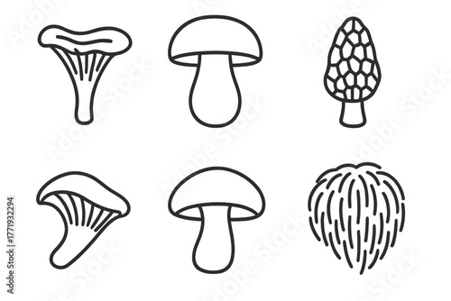 Edible Mushroom Icons. Line style icons of Edible Mushroom Types: chanterelle, porcini, morel, oyster mushroom, shiitake, lion’s