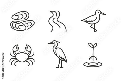 Estuary Line Icons. Line style icons of Estuary: Oyster Bed, River Mouth, Marsh Grass, Wading Bird, Crab, Heron, Mangrove Seedling