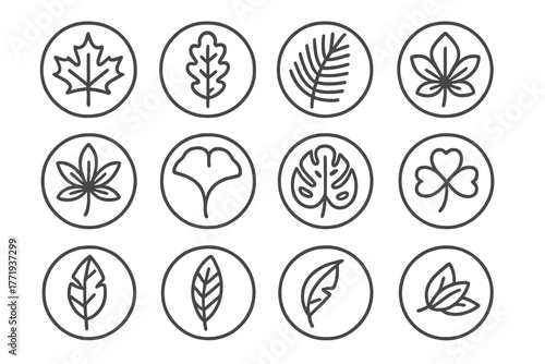 Line Style Leaf Icons. Line style icons of leaves in round shape: maple leaf, oak leaf, palm leaf, birch leaf; chestnut leaf,