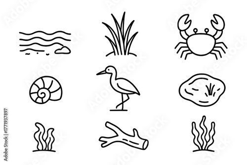 Coastal Wetland Icons. Line style icons of Coastal Wetland: Tidal Flats, Salt Marsh Grass, Crab, Wading Bird, Shell, Pond,