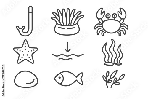 Adventure Tide Pool Icons. Line style icons of Adventure Tide Pool: Snorkel, Anemone, Crab, Starfish, Retreating Tide, Seaweed,