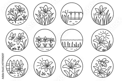Lily Garden Icons. Line style icons of lilies in garden in round shape: lily bed, cluster of lilies, lily among grass, blooming