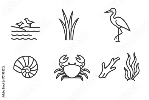 Coastal Wetland Icons. Line style icons of Coastal Wetland: Tidal Flats, Salt Marsh Grass, Crab, Wading Bird, Shell, Pond,