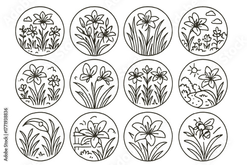Lily Garden Icons. Line style icons of lilies in garden in round shape: lily bed, cluster of lilies, lily among grass, blooming