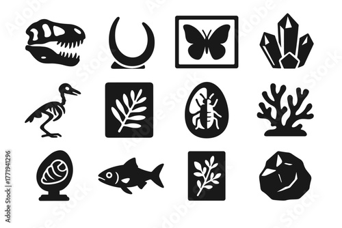 Plant herbarium piece prehistoric vector icon reef icons natural history exhibit display