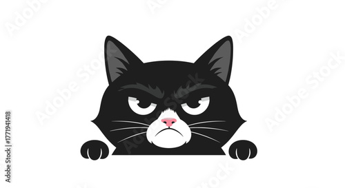 Close-up illustration of an angry black cat with white whiskers peeking over a white surface.