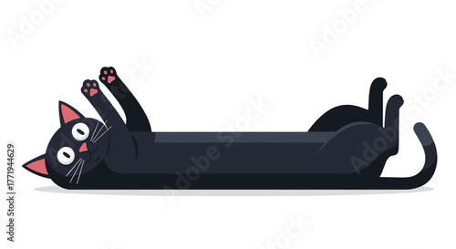 Playful black cat stretched out on its back with paws in the air.