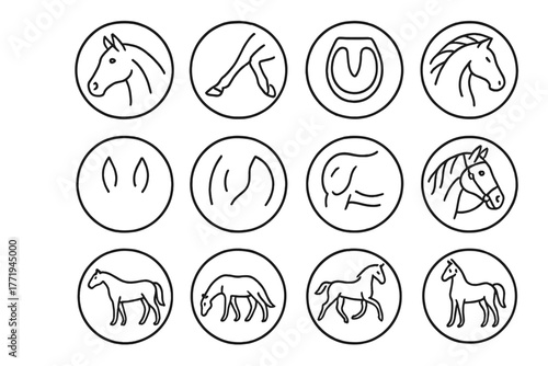 Horse Anatomy Icons. Line style icons of horse anatomy in round shape: horse head, galloping legs, horse hoof, horse mane; tail