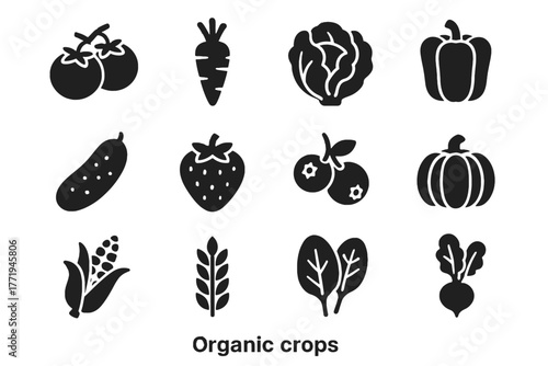 Pumpkins strawberries organic radish icon lettuce peppers blueberries icons produce corn carrots