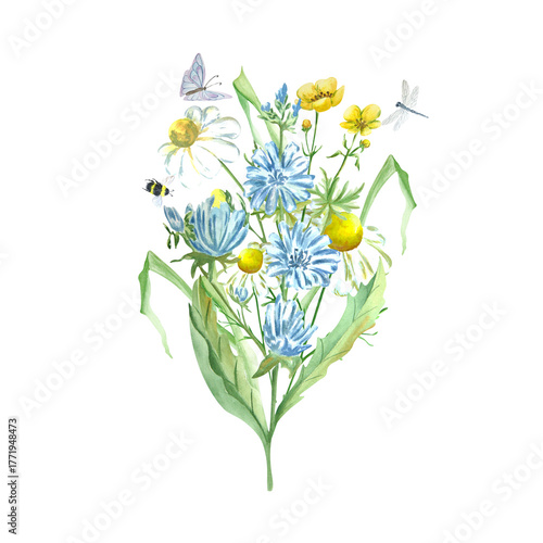 Fotografie Watercolor bouquet with flowers and insects on a white background