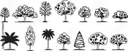 Vector CAD Set of Tree Elevation Drawing, Outline of Trees and Grass in Clean Architecture Line Style for Landscape, Urban, and Garden Design Plans
