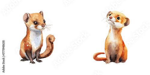 weasel watercolor vector illustration