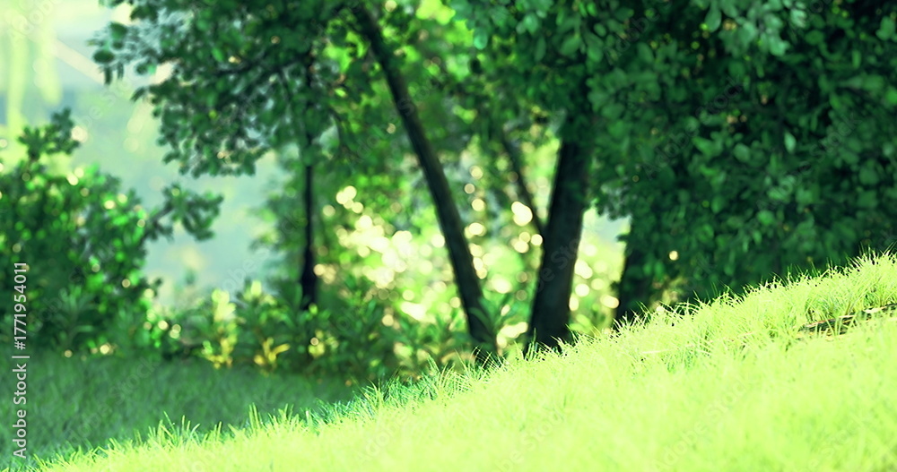 Fototapeta premium Sunlight filters through the leafy trees, casting a soft glow on the vibrant grass. This serene area invites relaxation and enjoyment of natures beauty during a warm day.